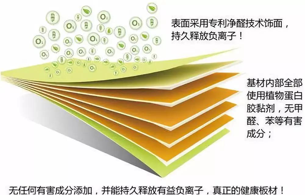 濃情端午,粽葉飄香 環(huán)保生活，健康你我